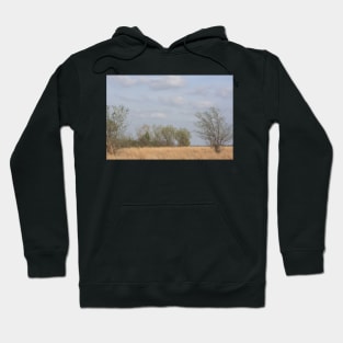 Kansas Colorful Countryside Hoodie